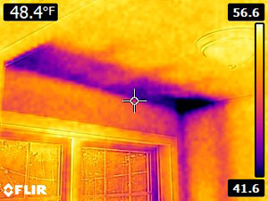 Thermal Imaging roof picture